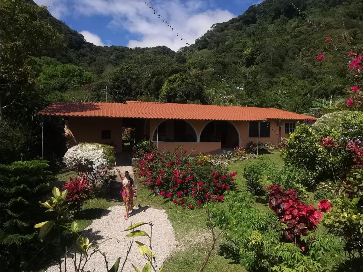 Апартаменты El Zumbito El Valle de Anton Номер фото